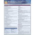 Barcharts Pathology - Systemic 2 Quickstudy Easel 9781423222637